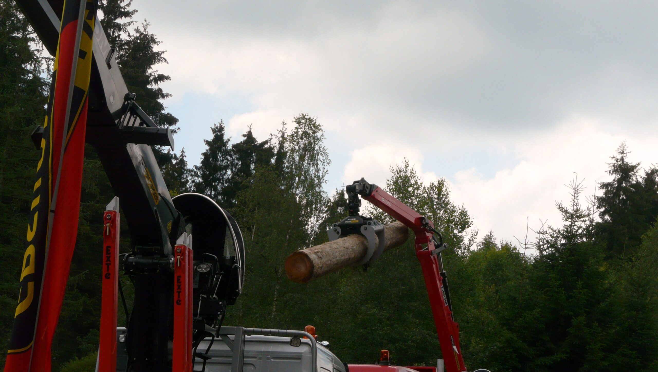 Report du règlement déforestation : une nouvelle tradition de Noël ?