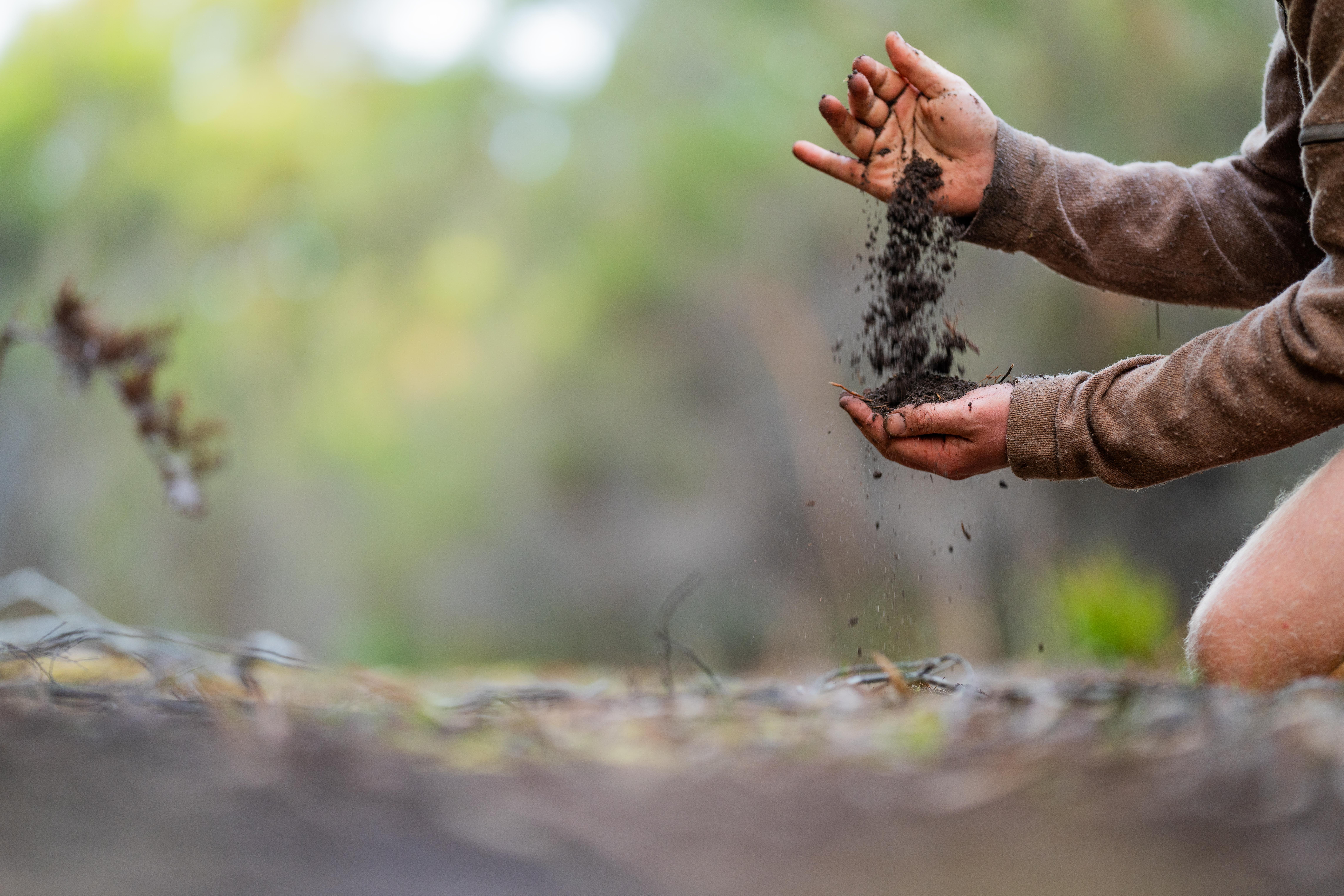 Quand la terre nous rappelle à l’essentiel