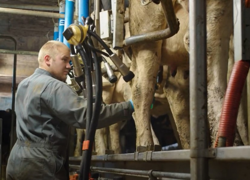 Prix du lait : comprendre les raisons d’une chute qui inquiète les producteurs