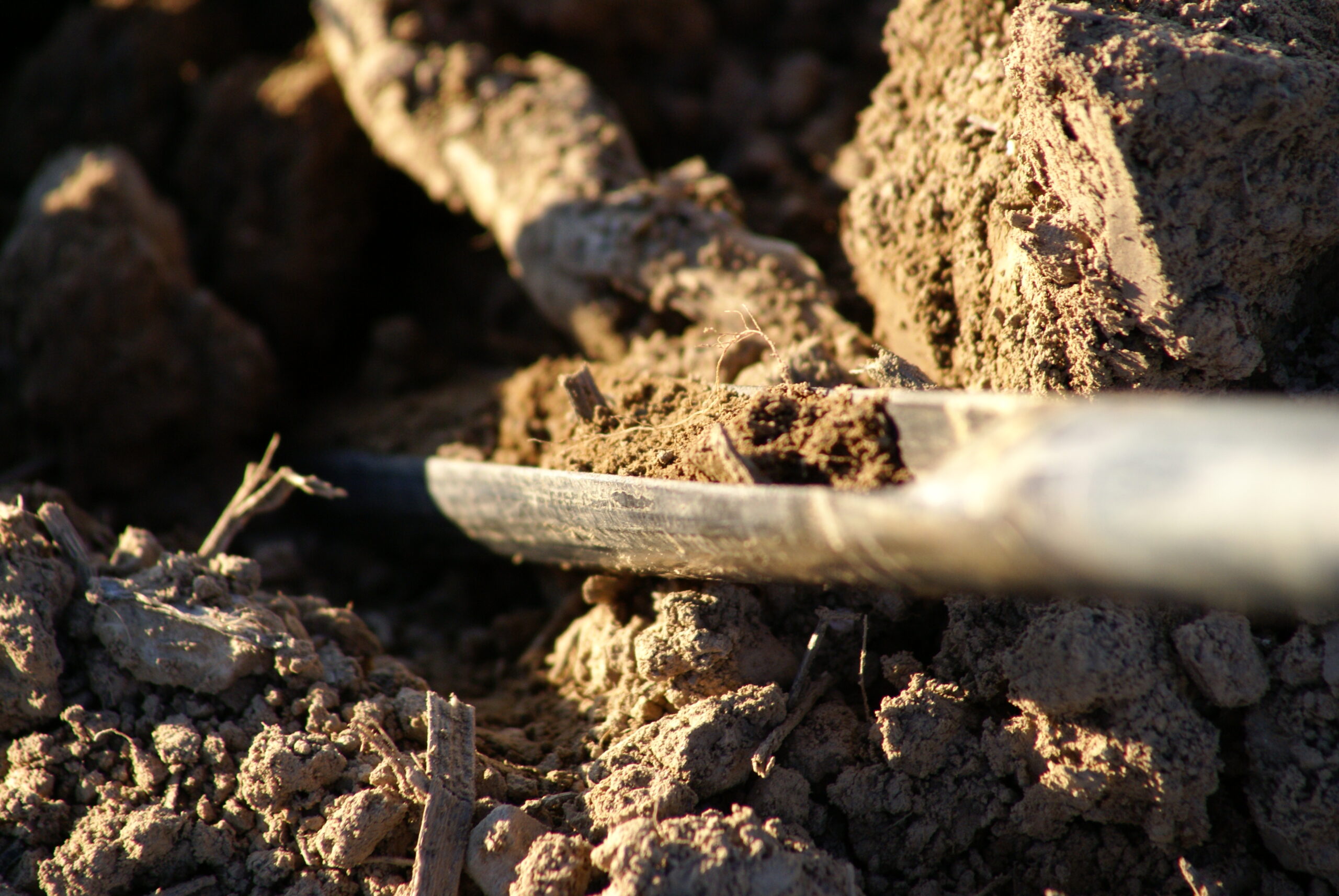 Cadmium: aucune indemnisation agricole envisagée à ce stade