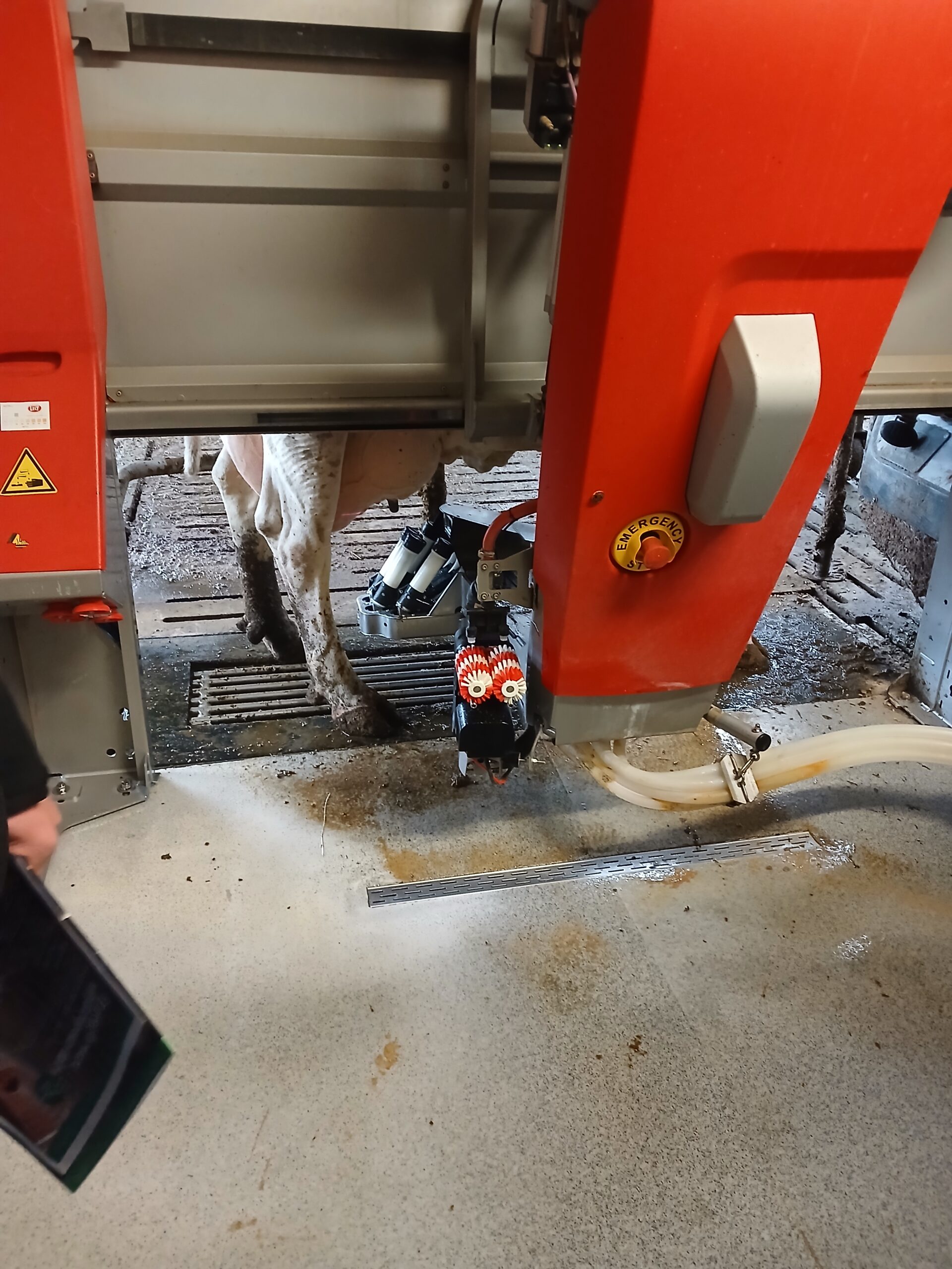 Robotisation et numérisation : que peuvent réellement apporter les nouvelles technologies en élevage?